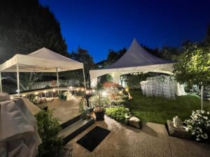 Party Rentals