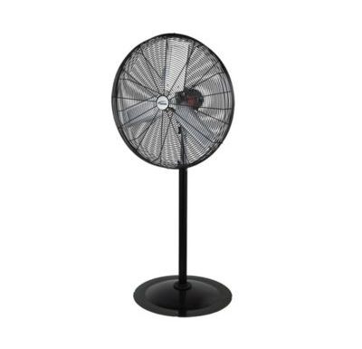 Oscillating Pedestal Fan Rental – 30″